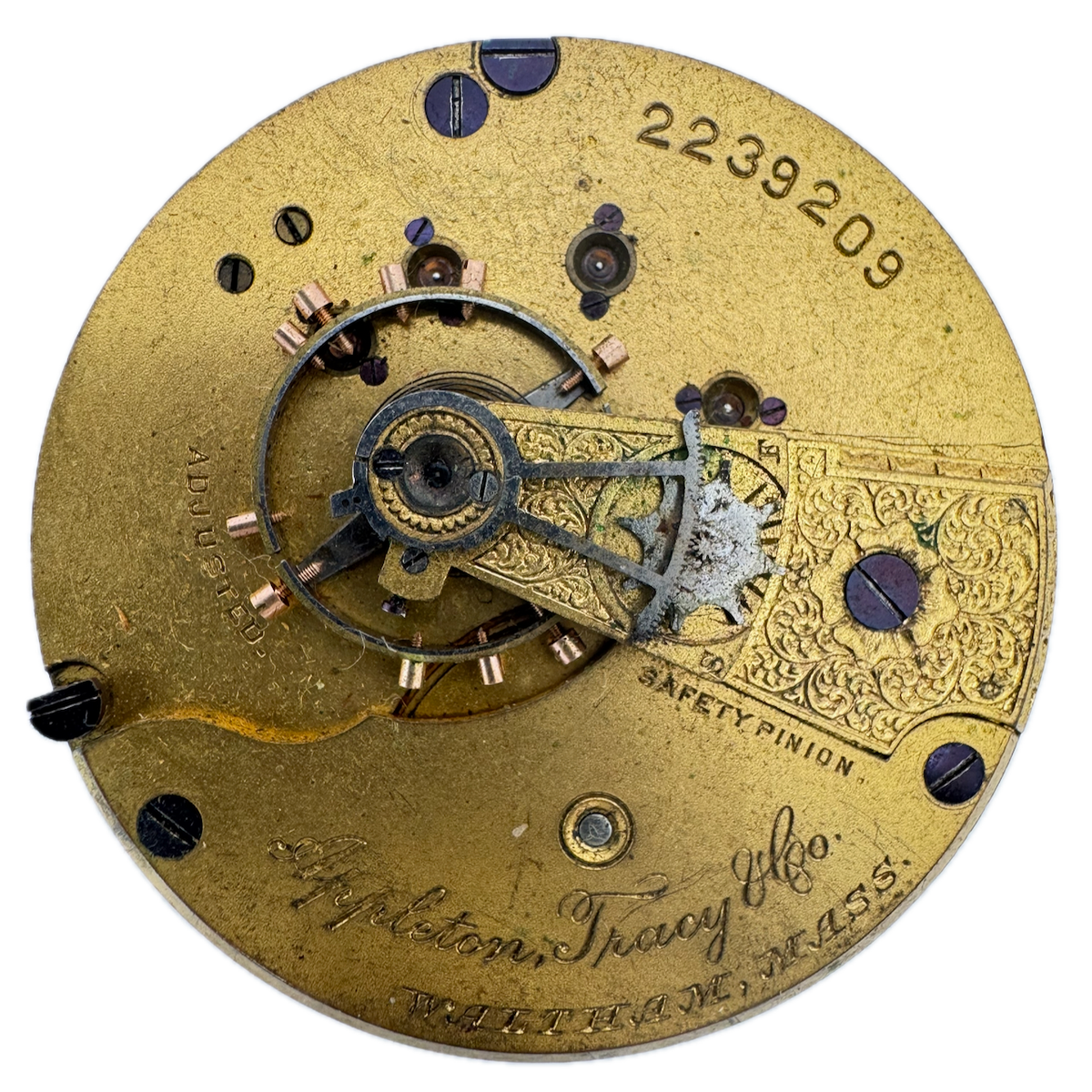 Waltham 1877 1884