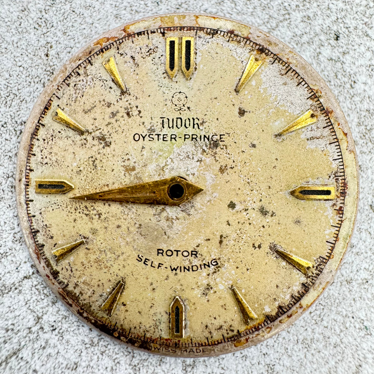 Tudor Prince/Oyster Prince