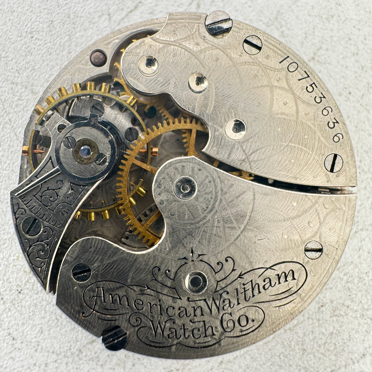 Waltham 1891 1901