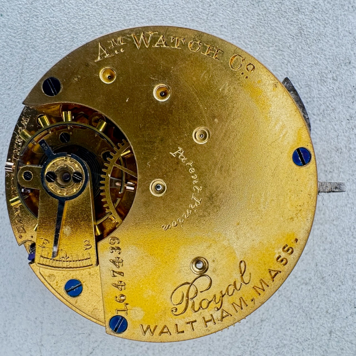 Waltham 1873 1881