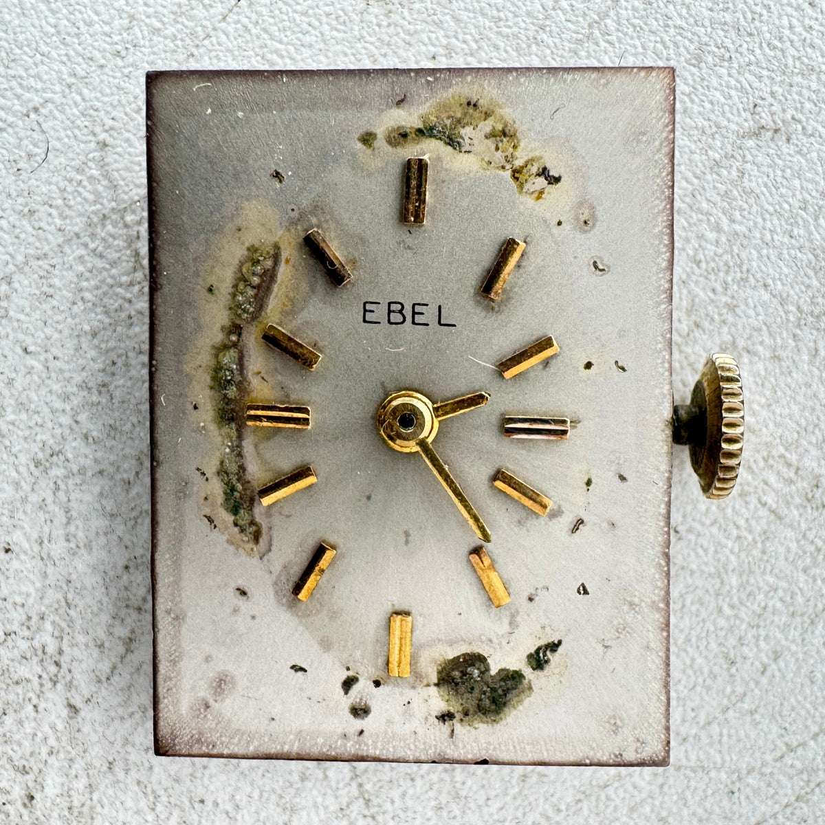 Ebel Tank Style