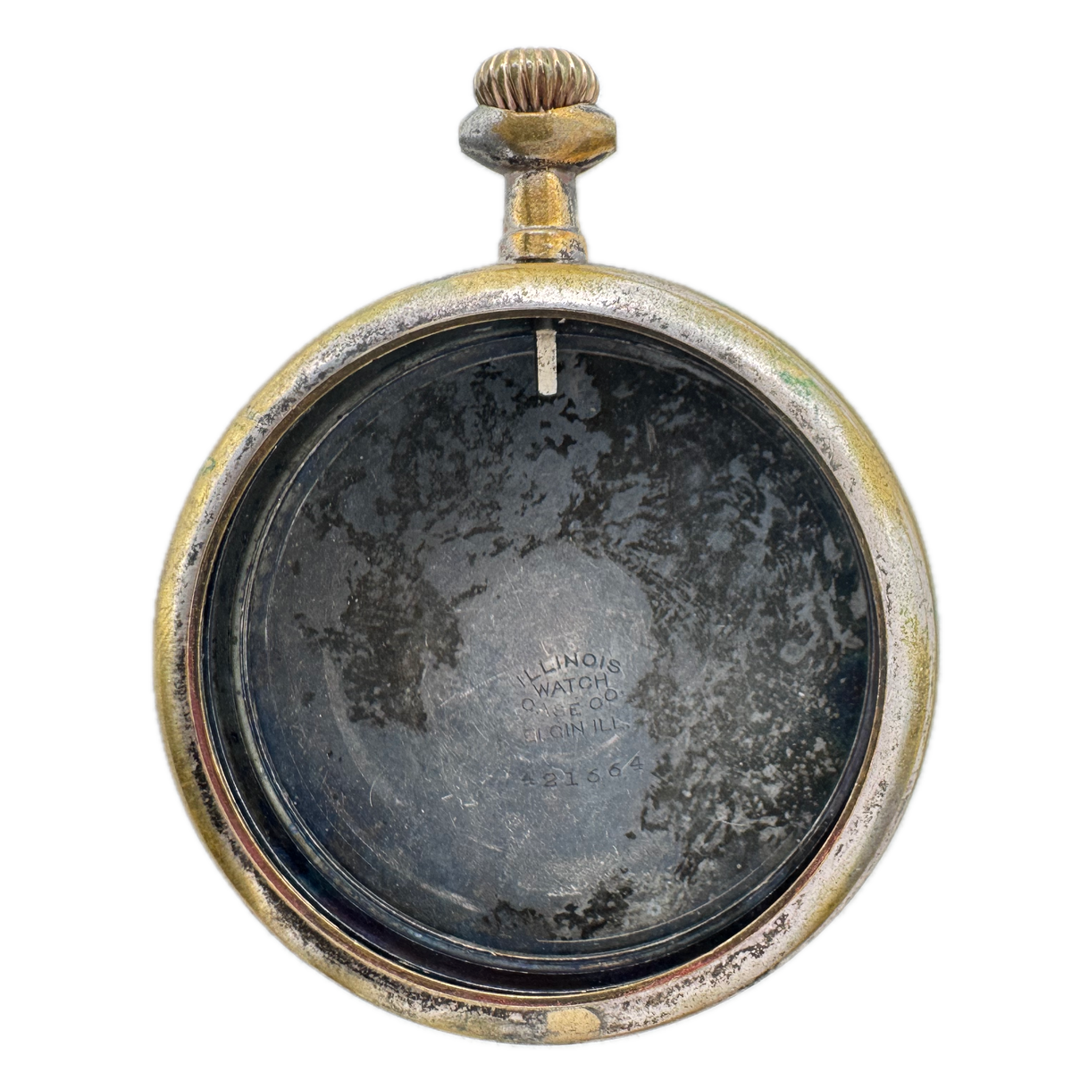 Illinois Grape Leaves Engraving
