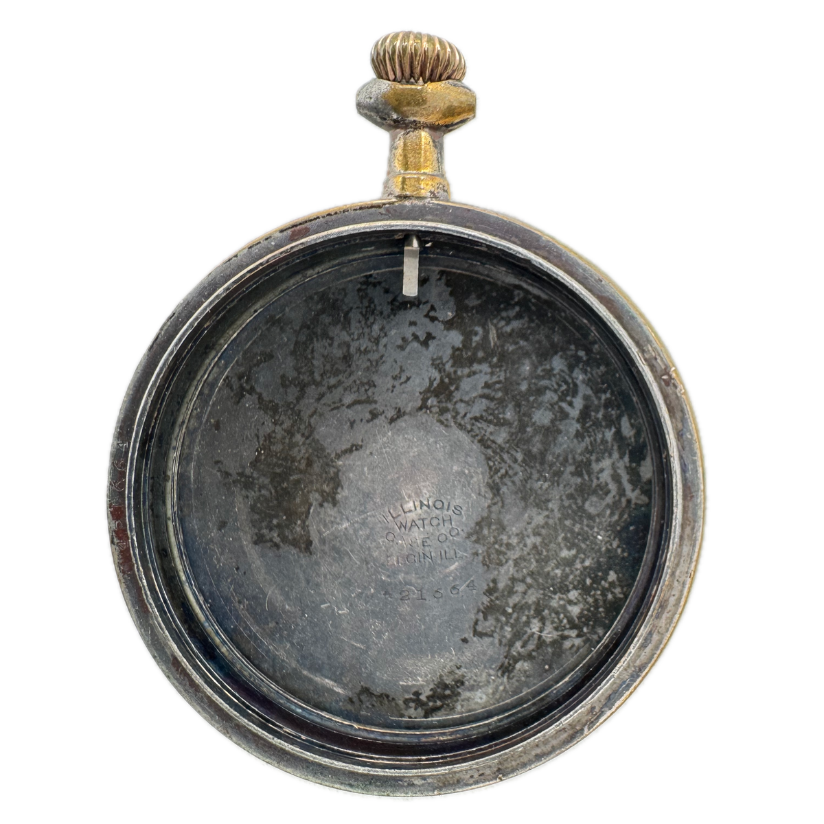 Illinois Grape Leaves Engraving