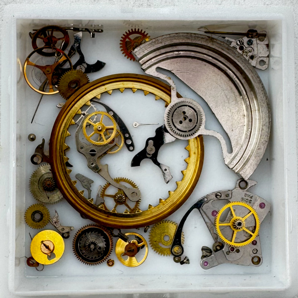 Movado Chronograph
