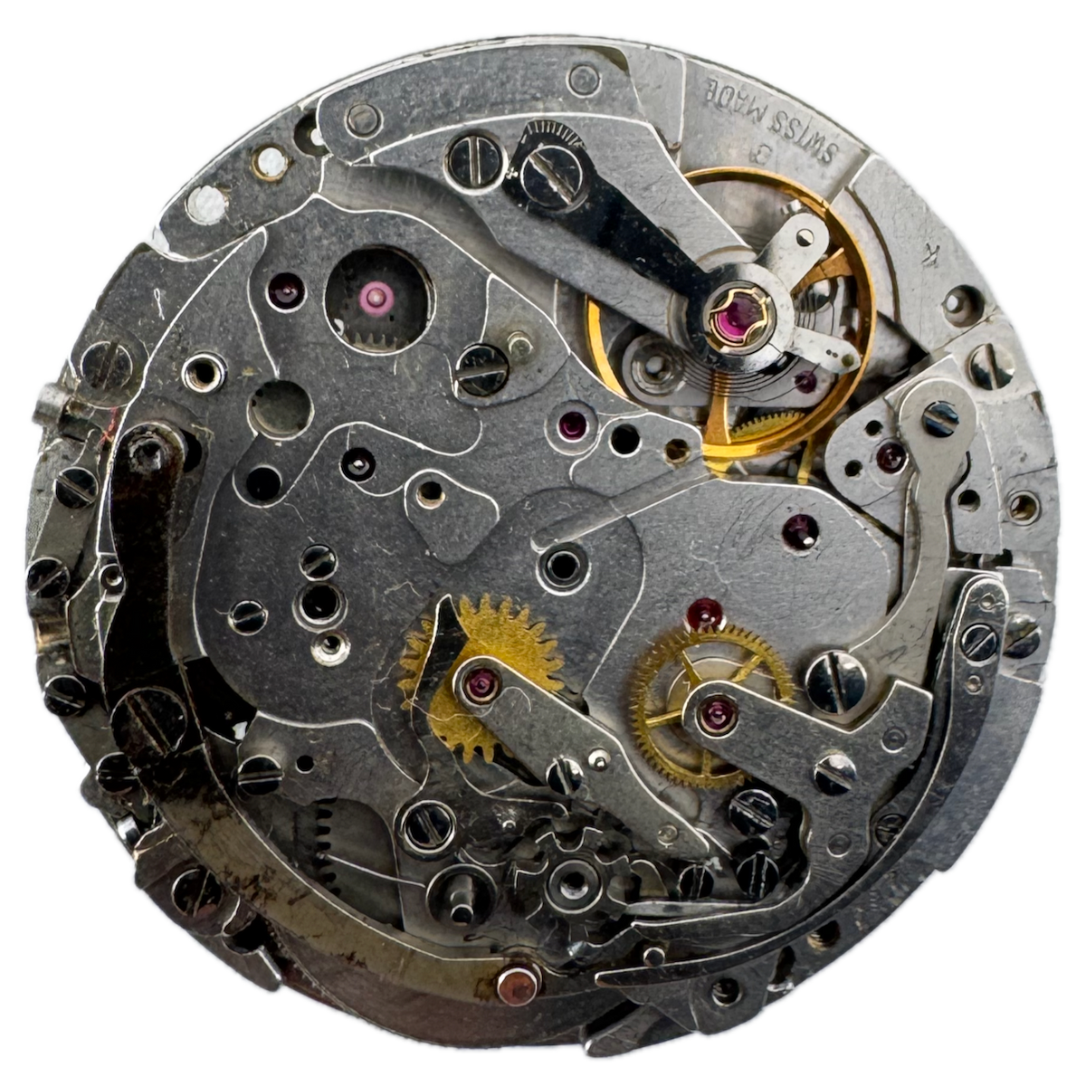 Movado Chronograph