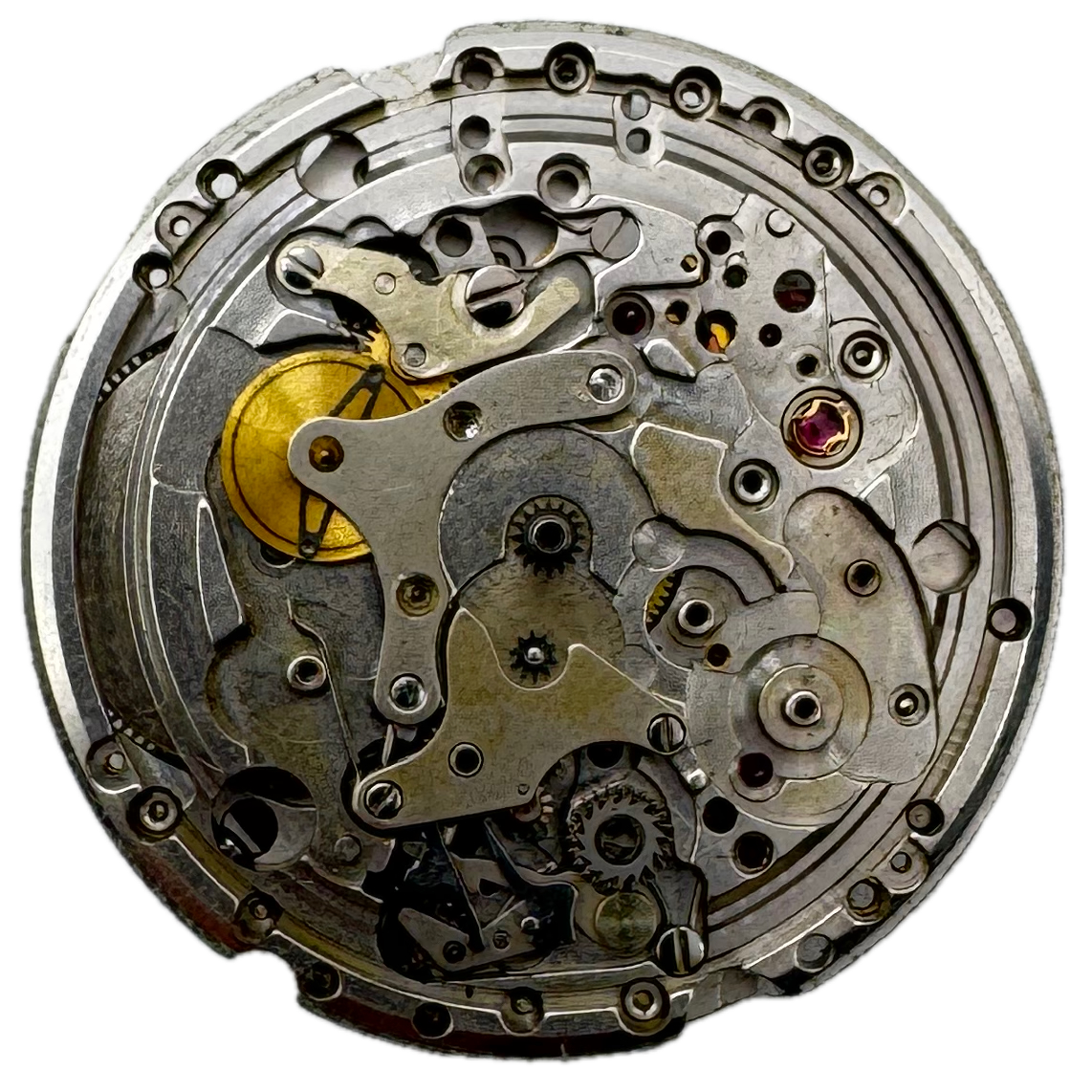 Movado Chronograph