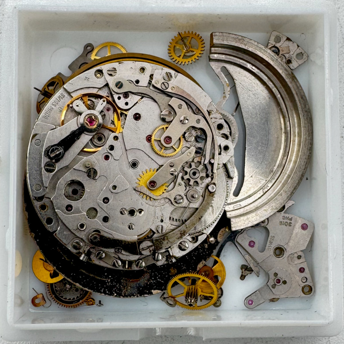 Movado Chronograph