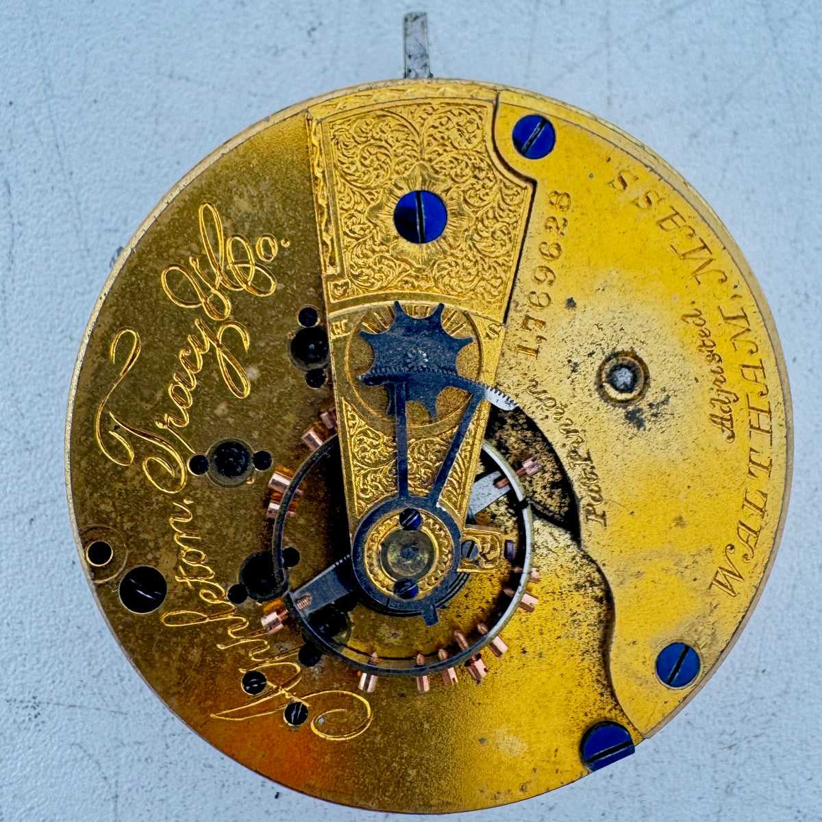 Appleton Tracy & Co. A.T. and Co. 1882