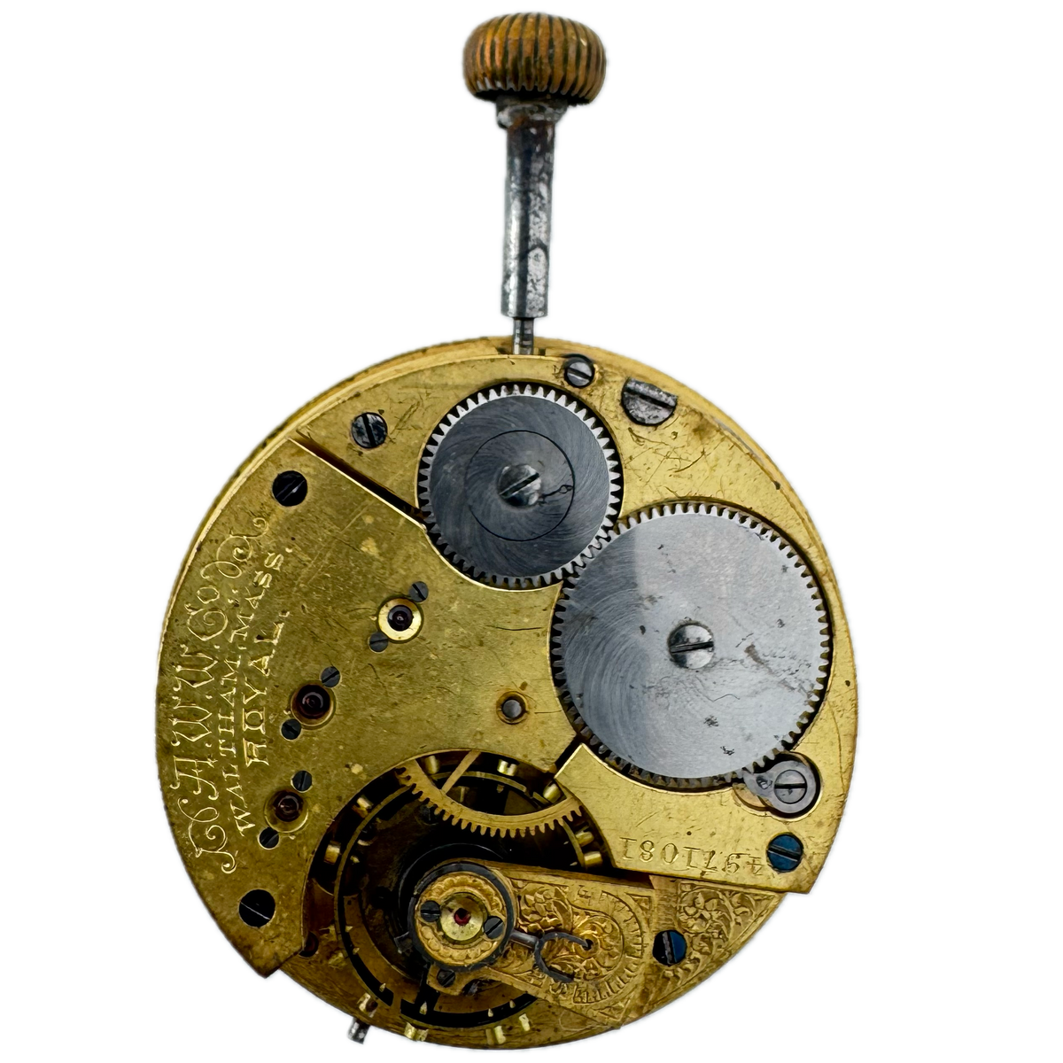American Waltham W. Co. Royal 1891