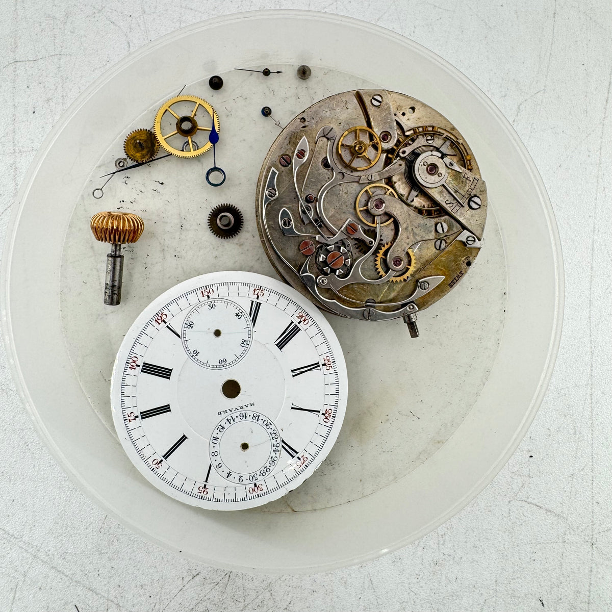Harvard Chronograph Date