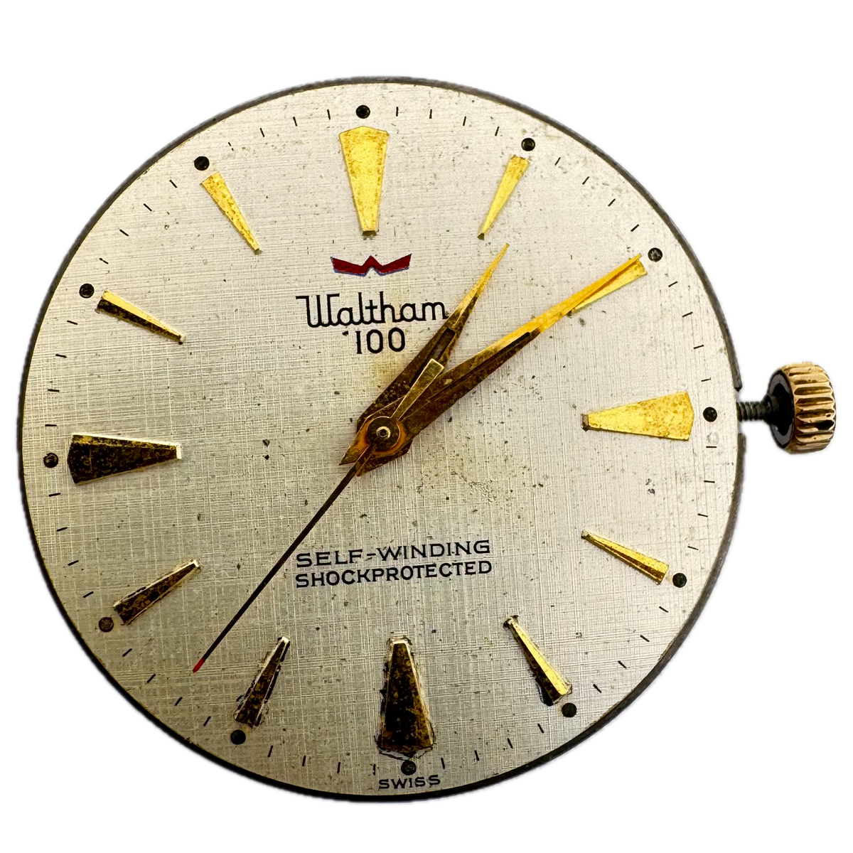Waltham 100 Shock Protected