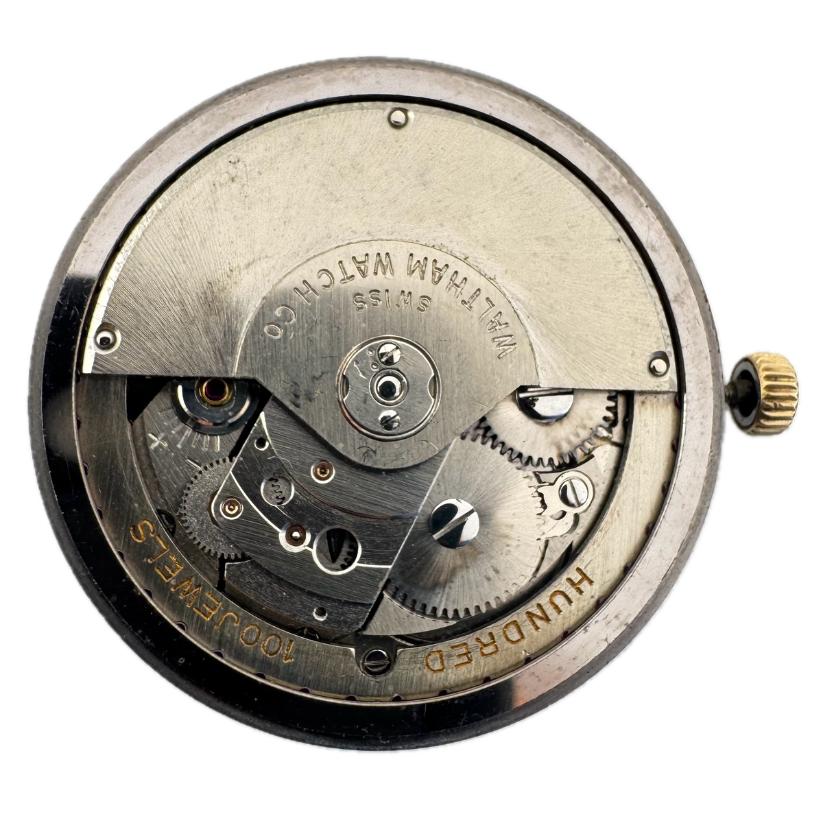 Waltham 100 Shock Protected