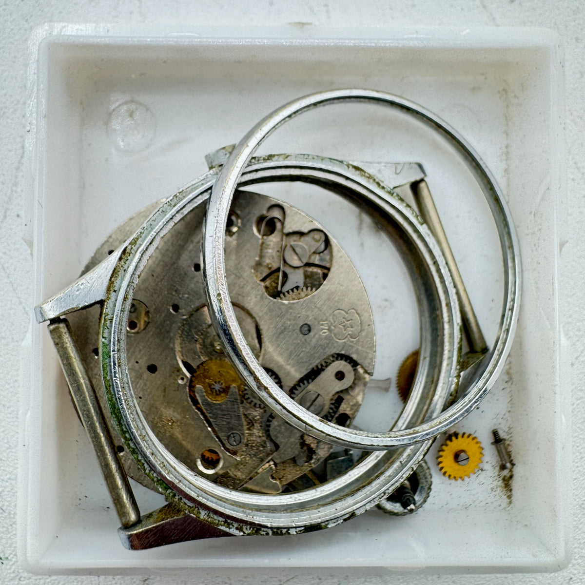 Harman Watch Co. Chronograph