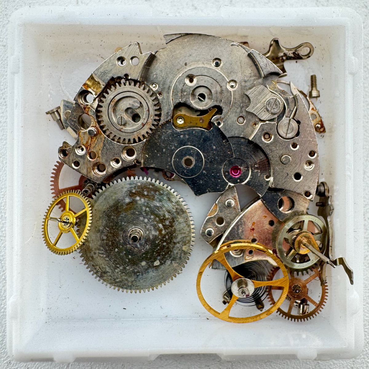 Nivada Watch Co. Chronograph
