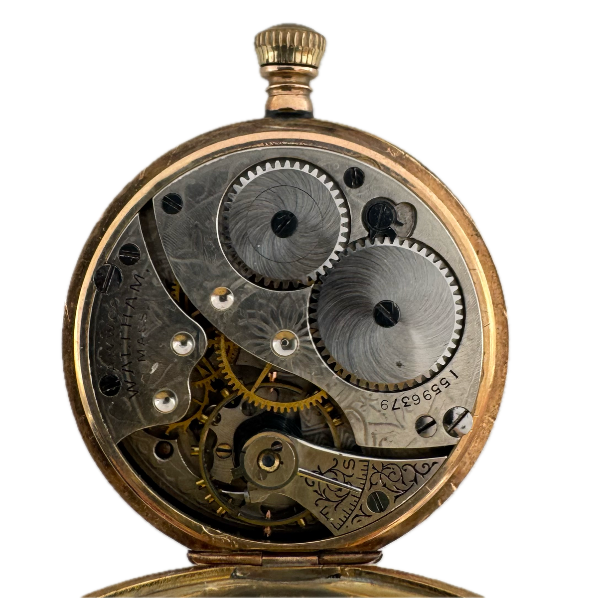 Waltham Tricolor Nature Bird & Floral 1907