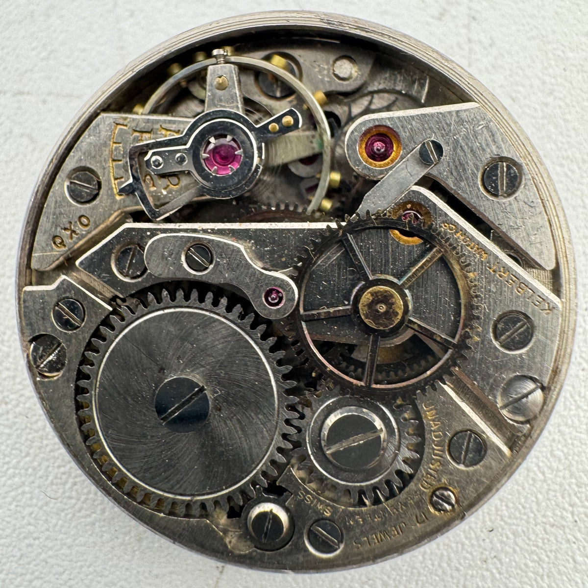 Kelbert Watch Co Shock Absorber