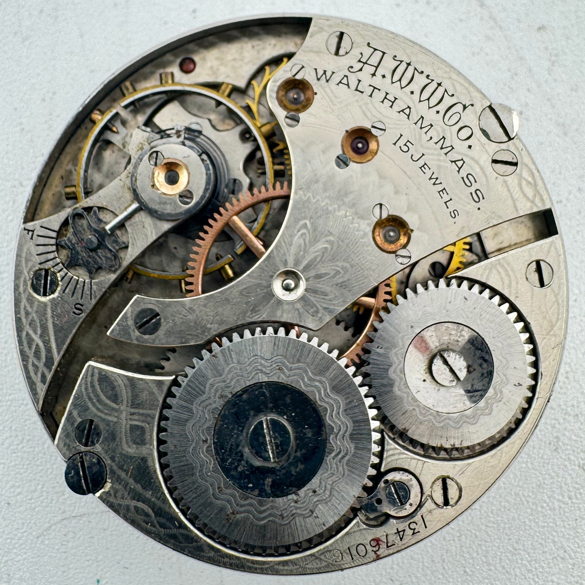 Waltham Roman Dial 1903