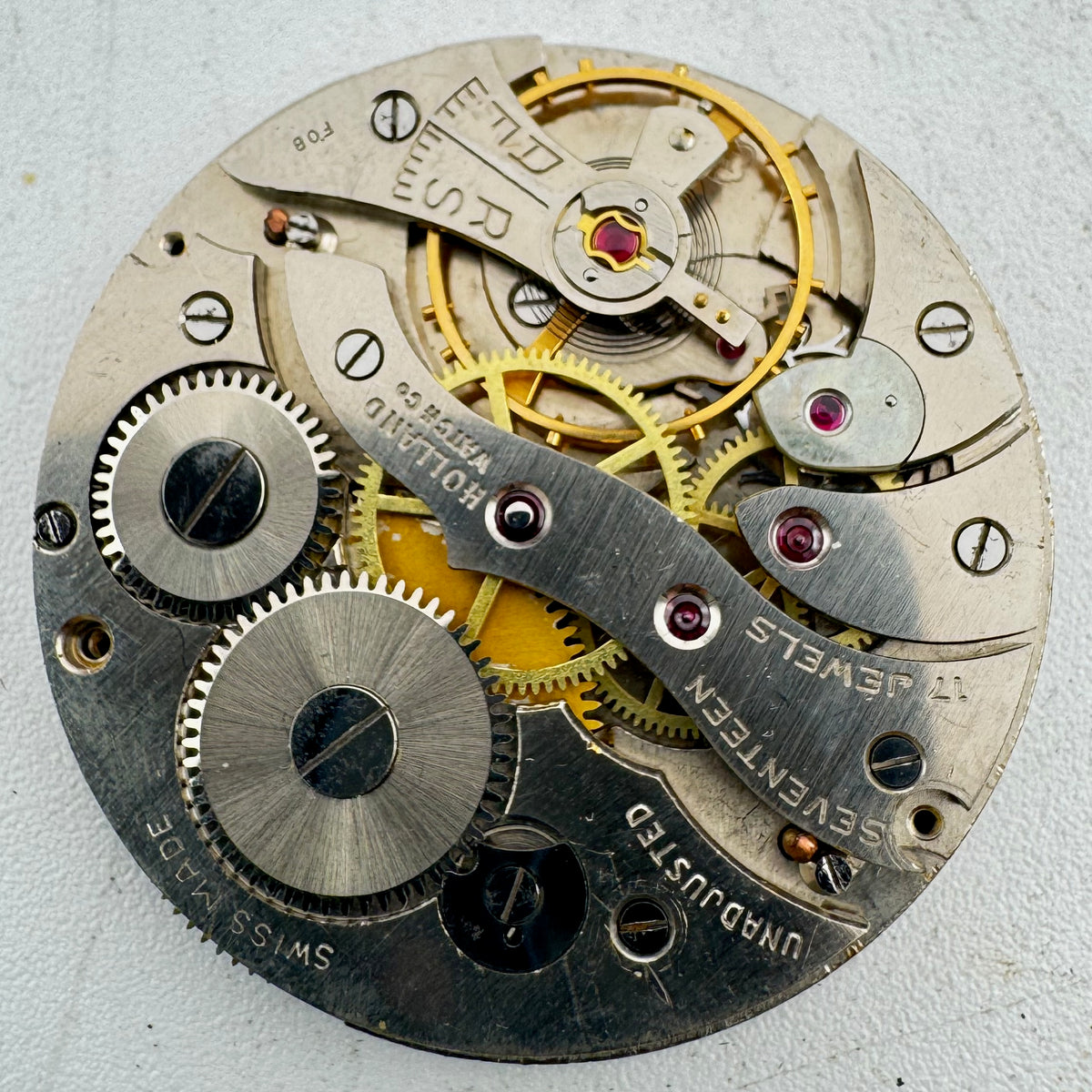 Holland Matte Dial