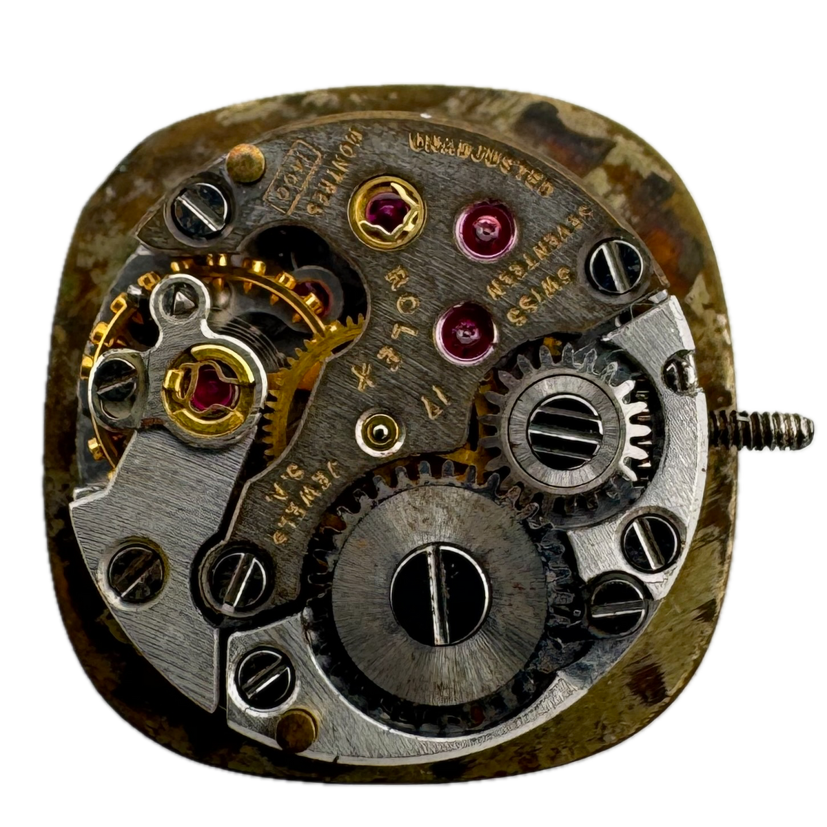 Rolex Bark Dial