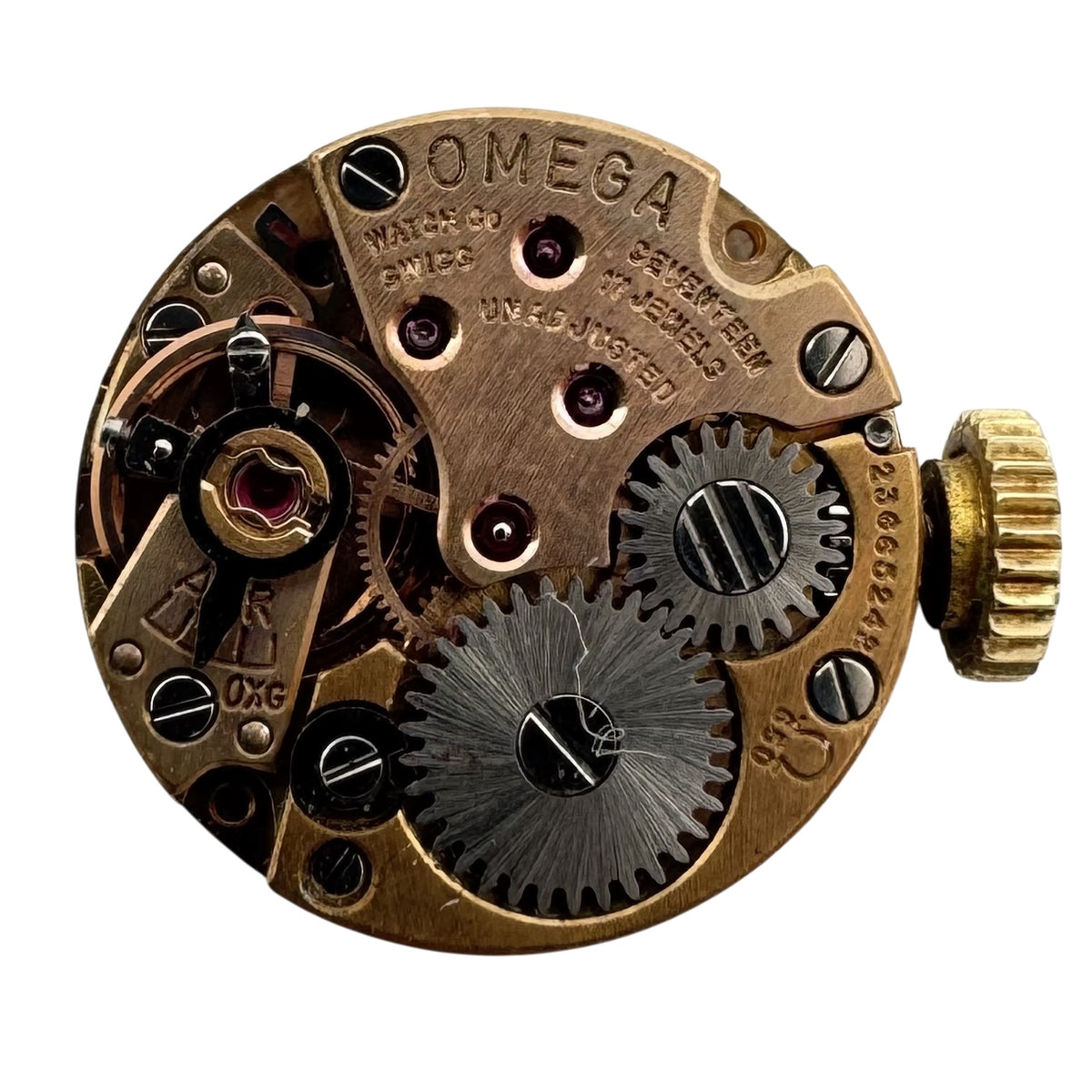 Omega Dainty Sunburst Dial 1966