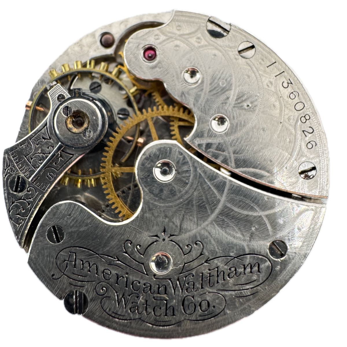 Antique 0s 1902 Waltham 7 Jewel Hunter Pocket Watch Movement Seaside USA