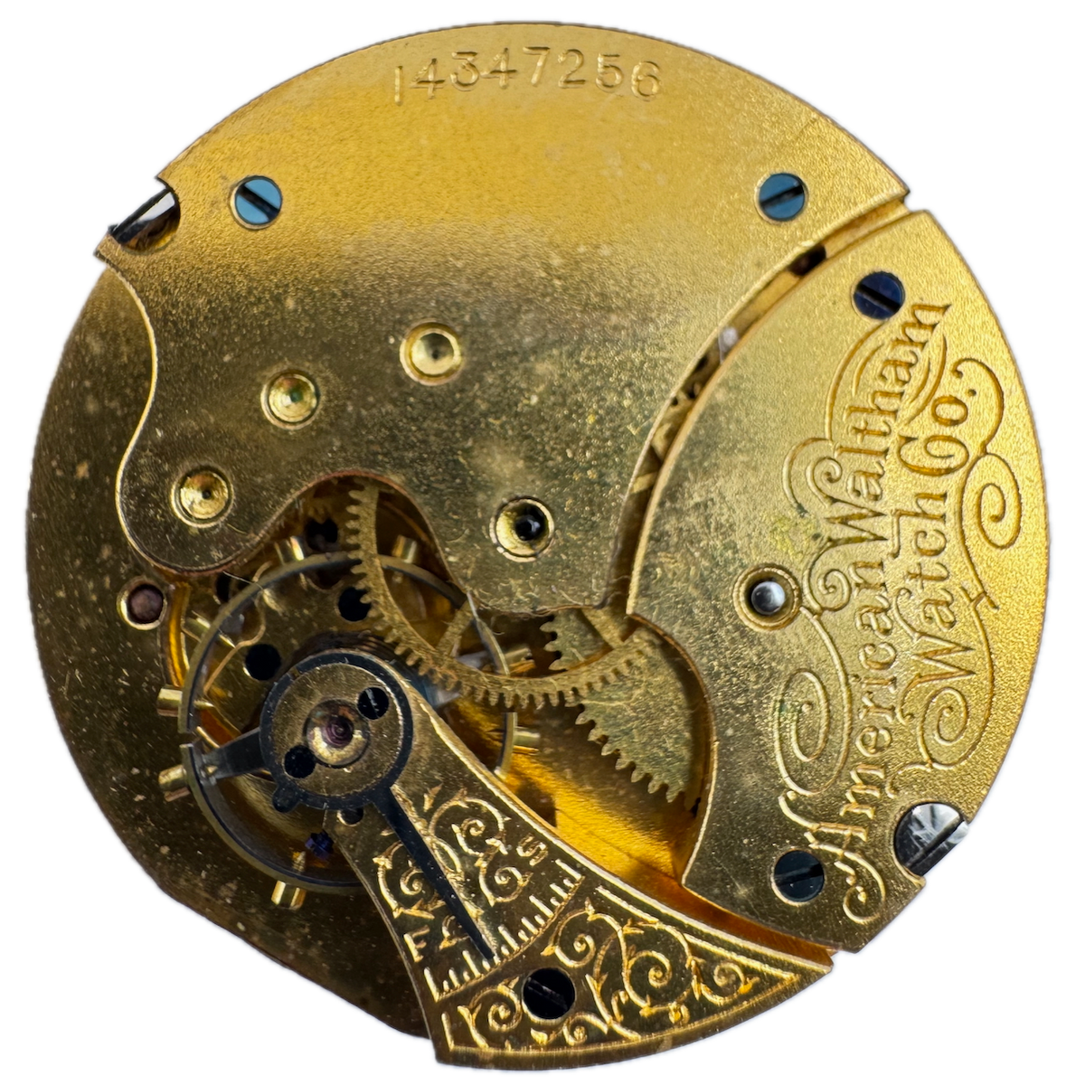 Antique 6s 1905 Waltham 7 Jewel Hunter Pocket Watch Movement Seaside USA