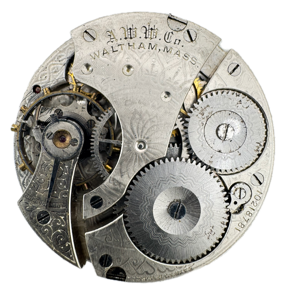 Waltham 1899 1901