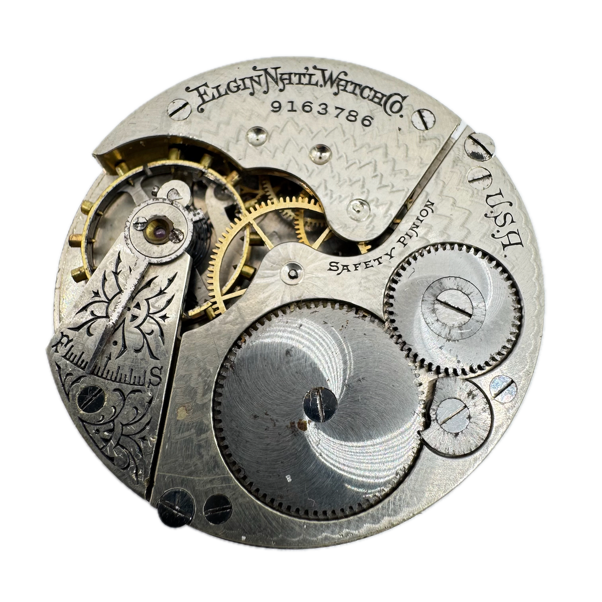 Elgin Multicolor 1901