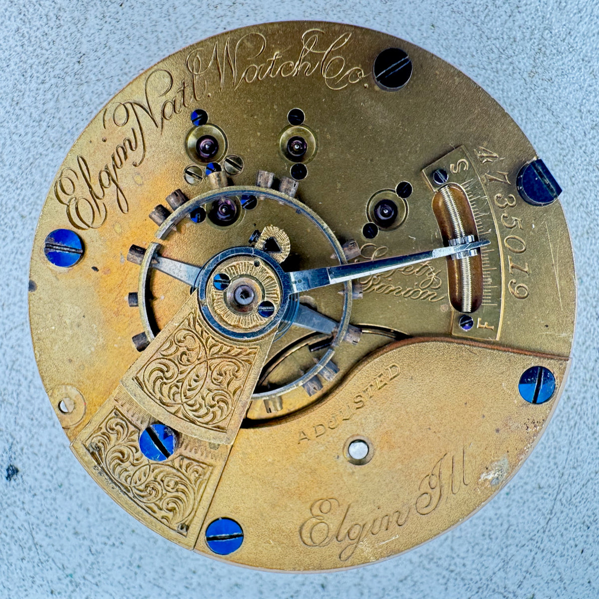 Elgin 1893