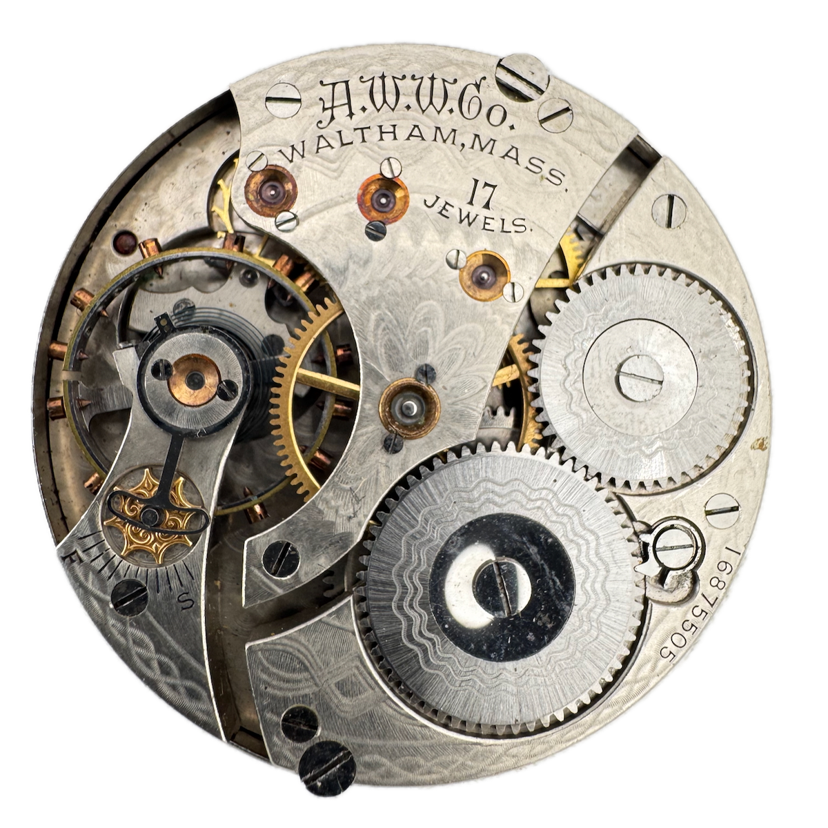 Waltham Multicolor 1908