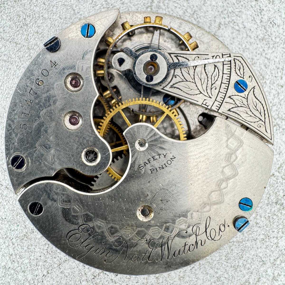 Elgin 5 1894