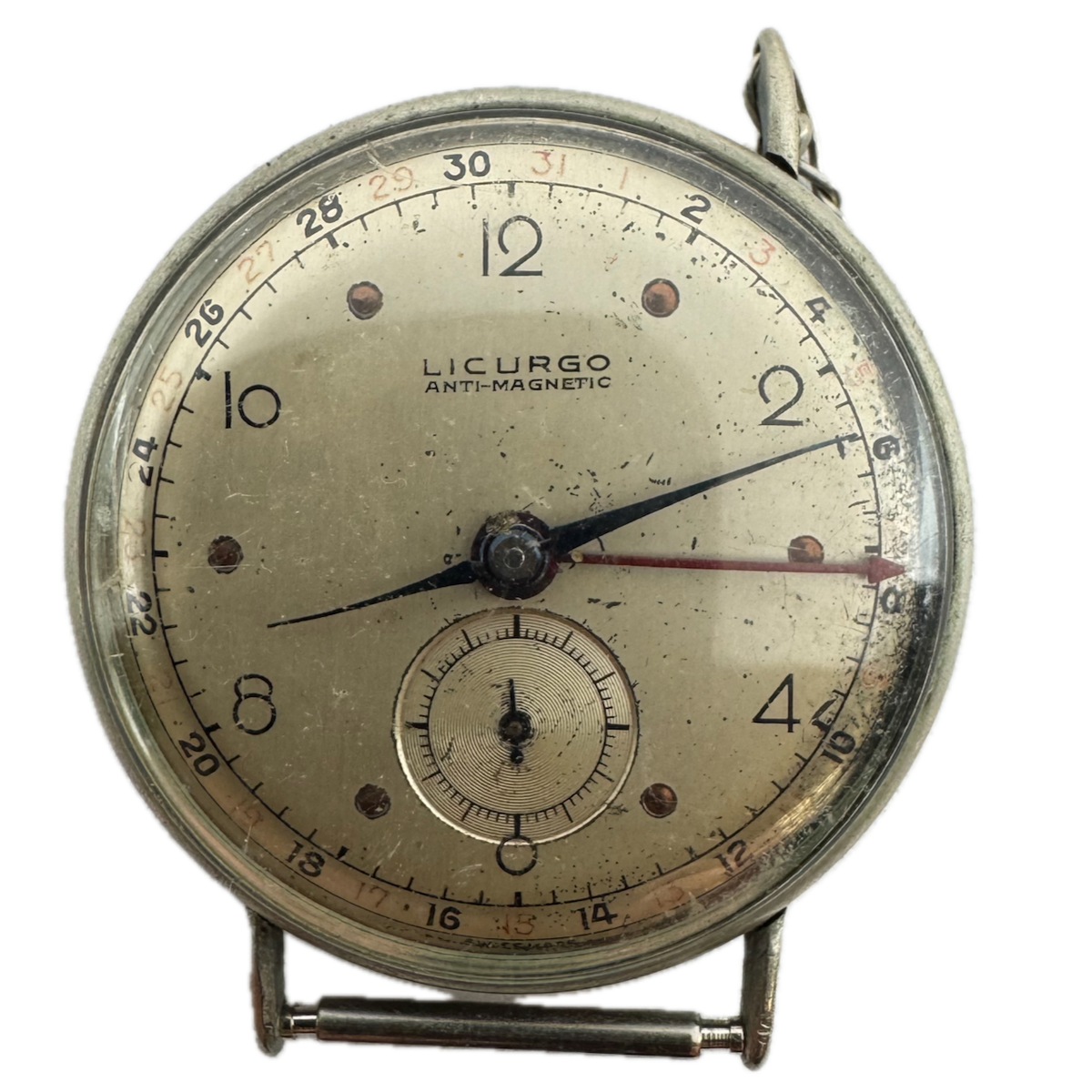 Licurgo Pointer Date 737