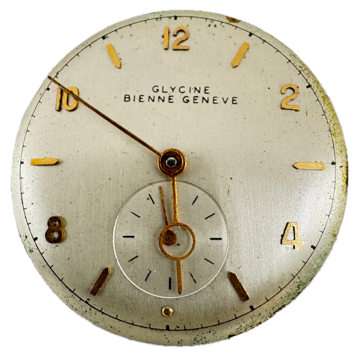 Glycine Bienne Geneve