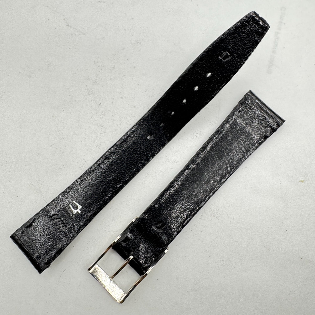 HiFi Alligator
