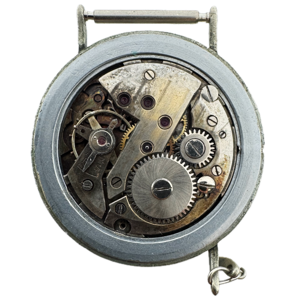Licurgo Pointer Date 737