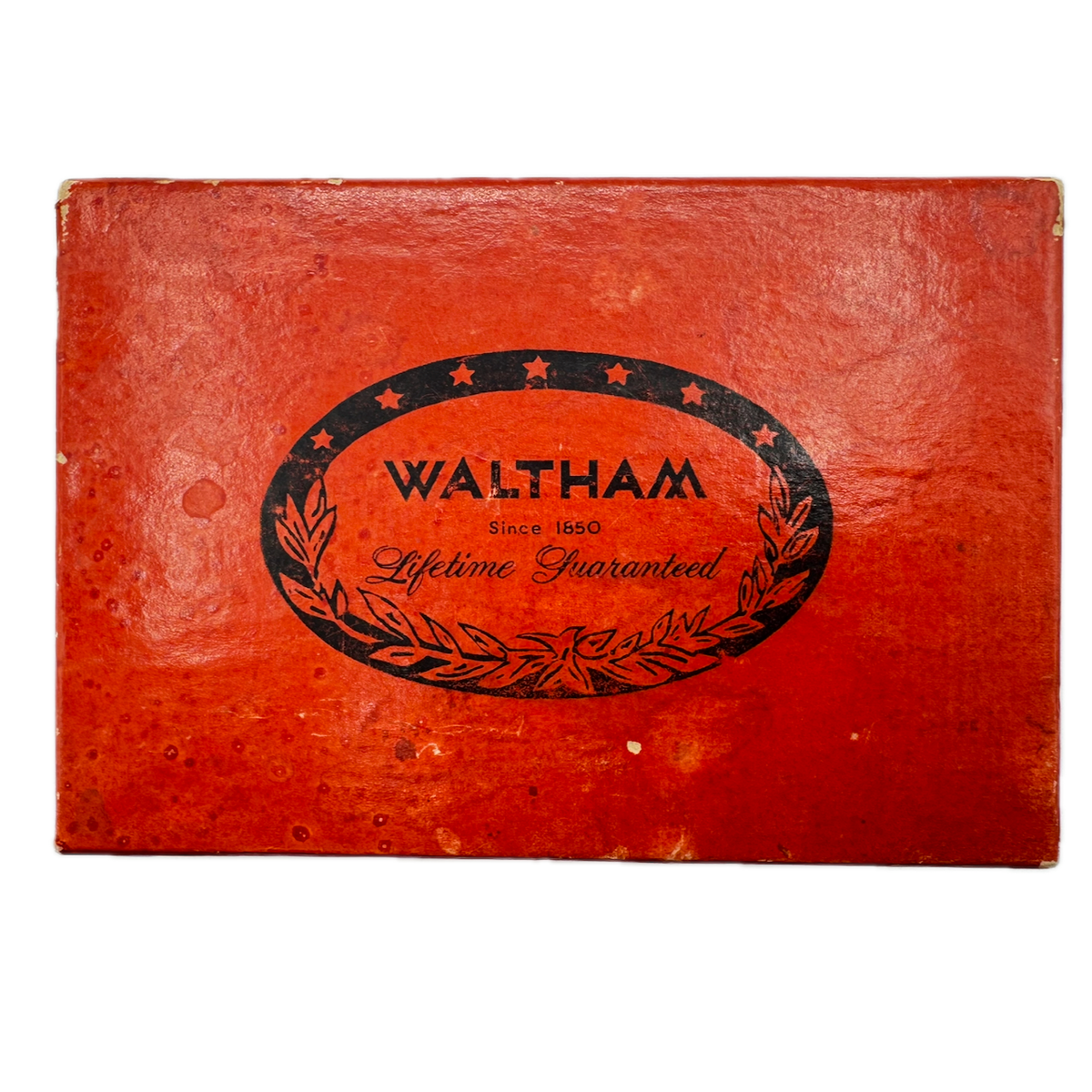 Waltham Marigold